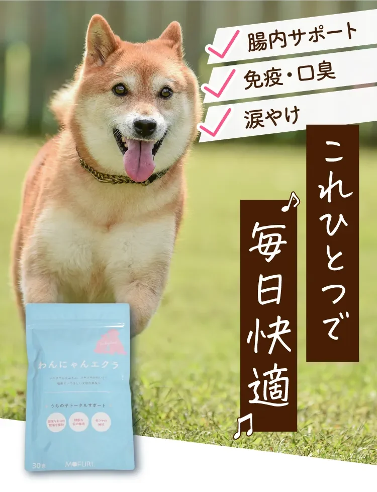 腸内サポート・免疫・口臭・涙やけ これひとつで毎日快適