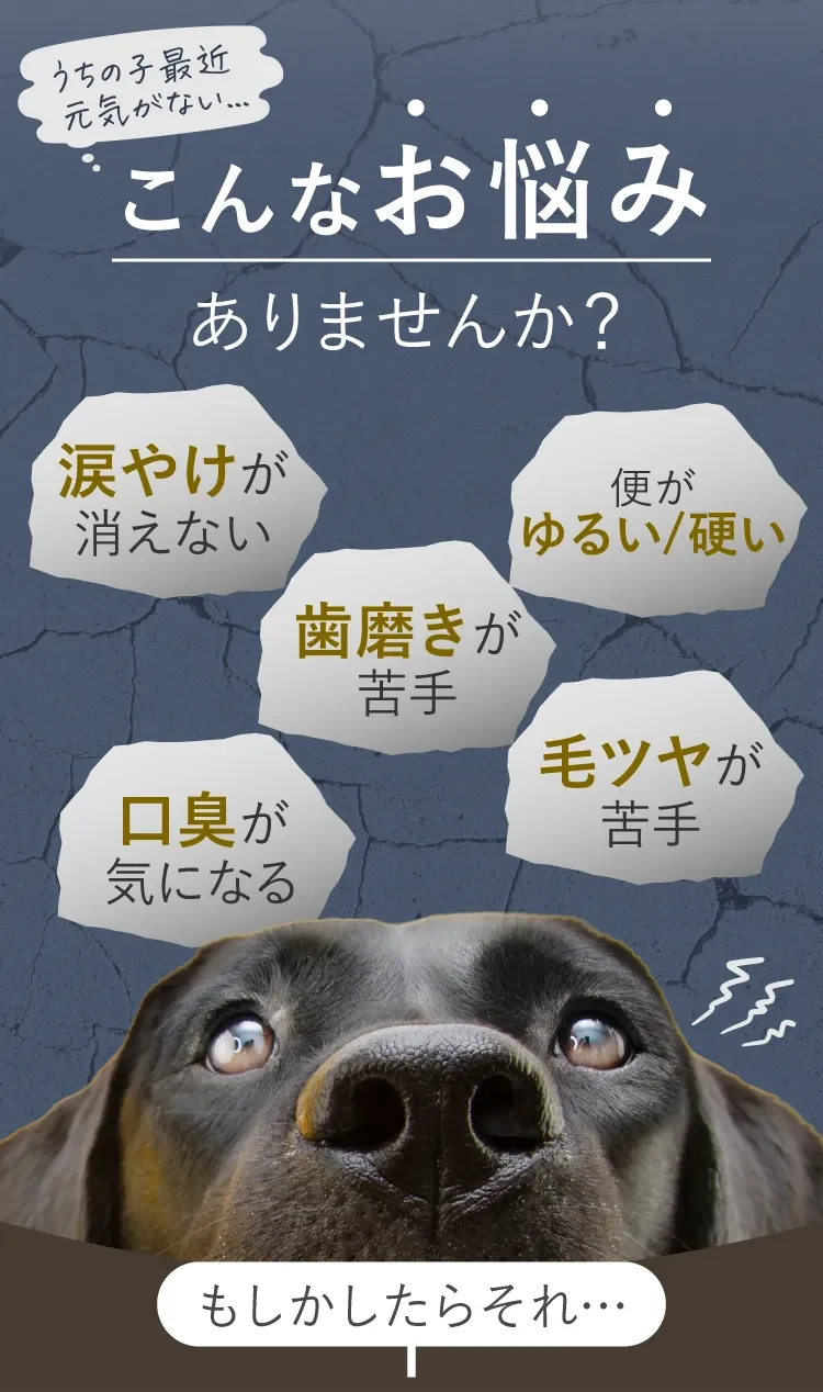 こんなお悩みありませんか？ 涙やけが消えない・便がゆるい/硬い・歯磨きが苦手・毛ツヤが苦手・口臭が気になる