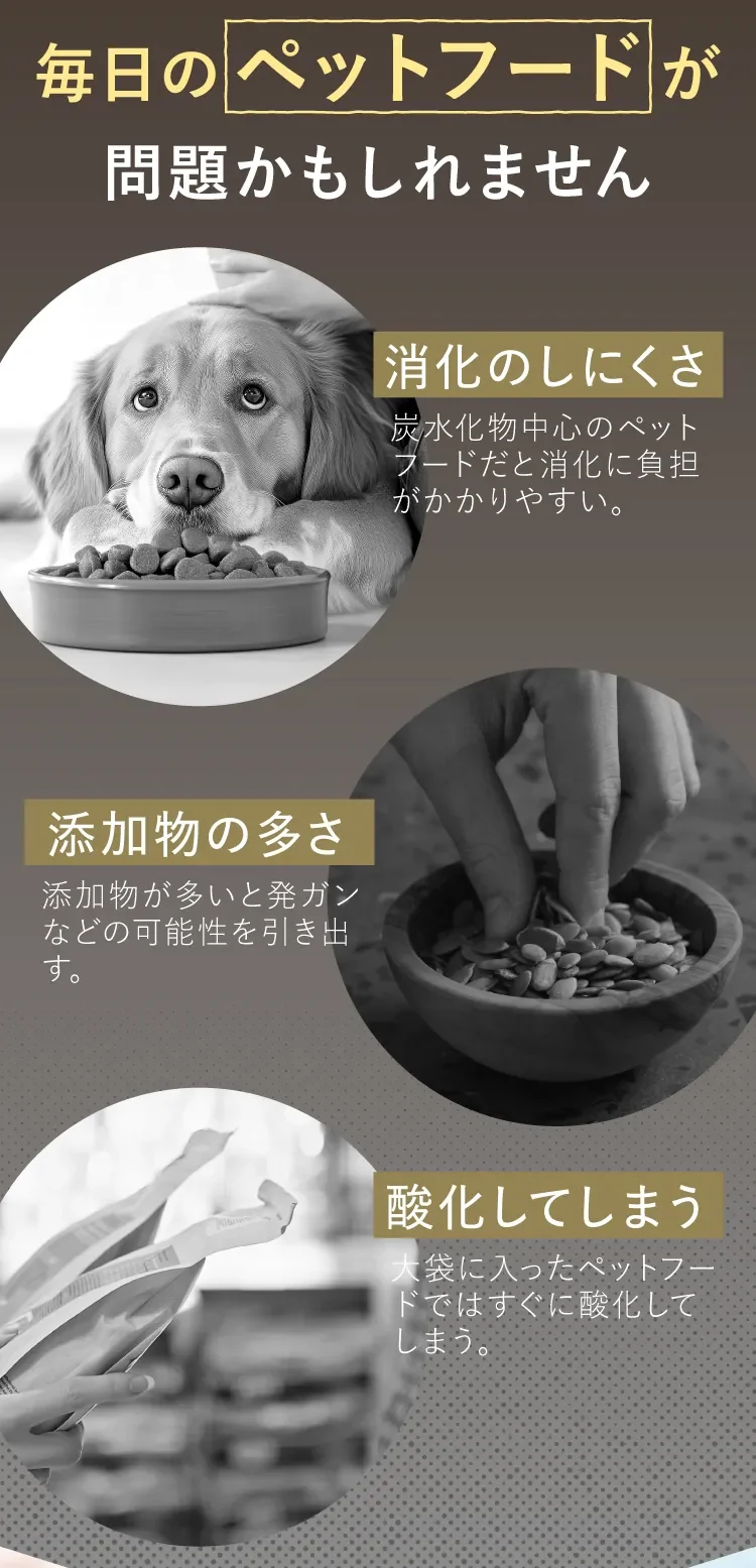 毎日のペットフードが問題かもしれません 消化のしにくさ・添加物の多さ・酸化してしまう