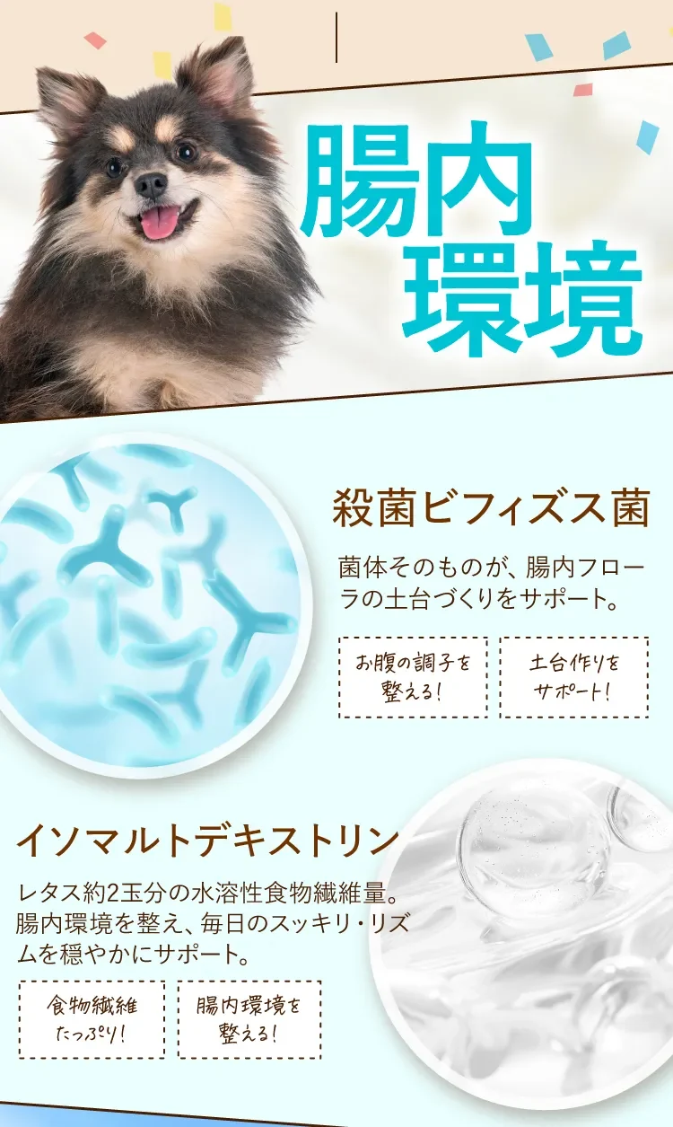 腸内環境 殺菌ビフィズス菌とイソマルトデキストリン（水溶性食物繊維）