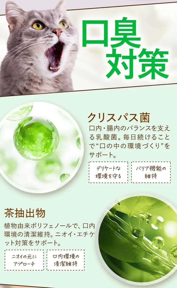 口臭対策 クリスパス菌と茶抽出物