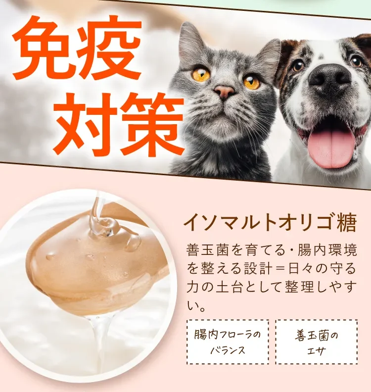 免疫対策 イソマルトオリゴ糖