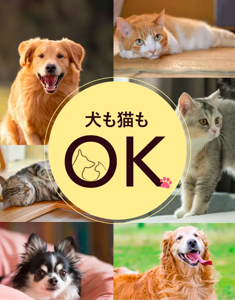 犬も猫もOK