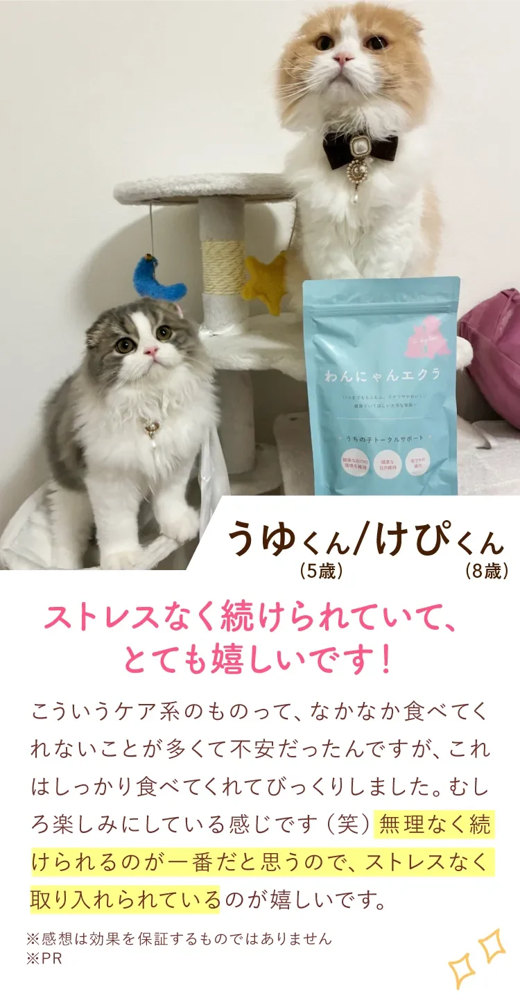 愛用者の声 うゆくん（5歳）けぴくん（8歳）ストレスなく続けられていてとても嬉しいです