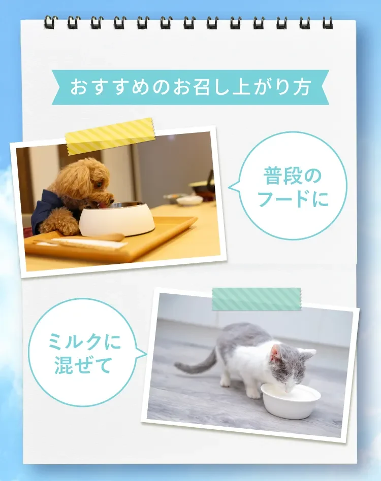おすすめのお召し上がり方 普段のフードに・ミルクに混ぜて