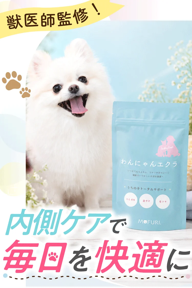 獣医師監修 犬猫用サプリメント わんにゃんエクラ 内側ケアで毎日を快適に
